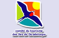 comité d'office de tourisme guadeloupe